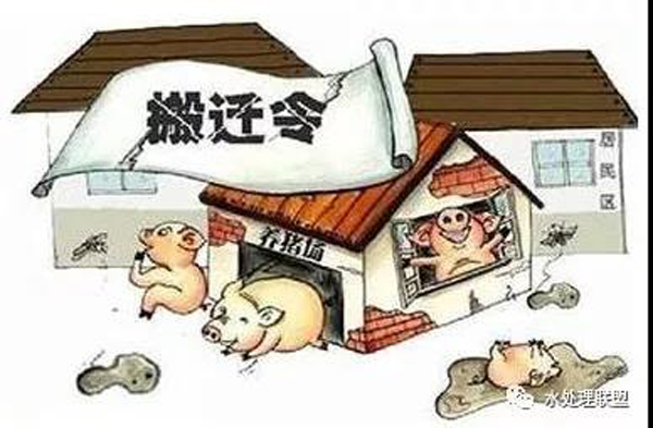 養殖場收到環保整改通知書該怎么辦?關于畜牧養殖的環保法律